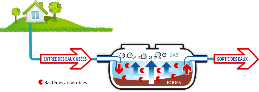 fosse toute eaux explications guadeloupe
